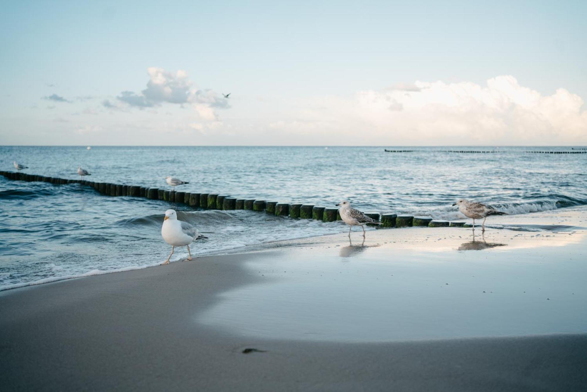 Kamphof Usedom Ferienanlage Лодин Екстериор снимка